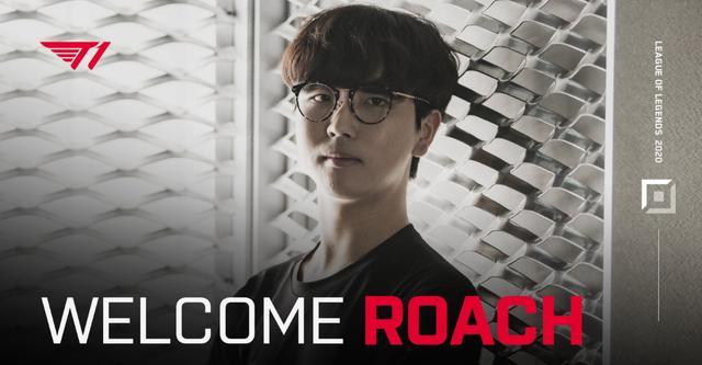 只维护核心 只维护核心